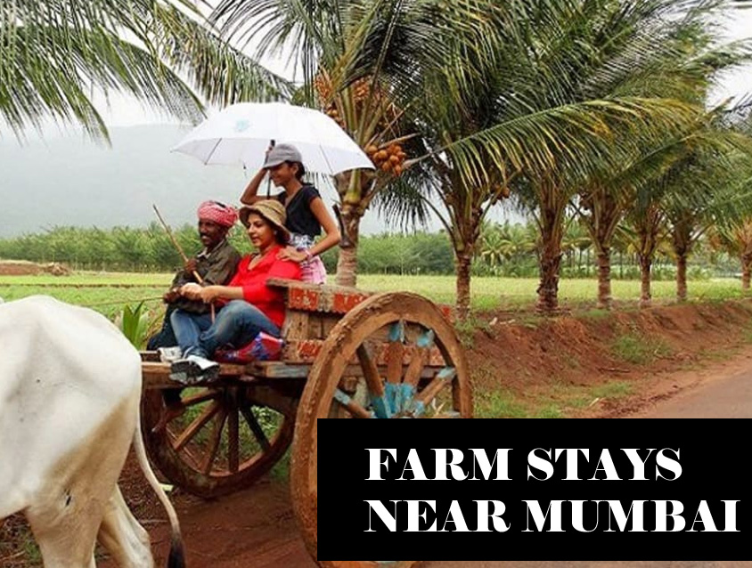 farm stays near mumbai