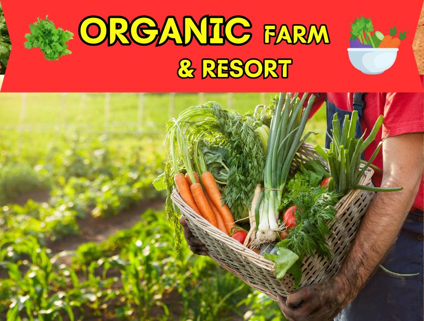 Organic - farm - resort