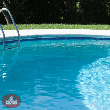 Villa with private pool at Shahapur Villa with private pool at Shahapur