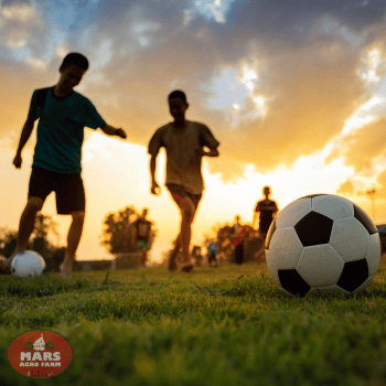 Villas in Igatpuri with pool - MARS Villas in Igatpuri with pool - MARS