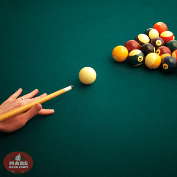 Villas in Igatpuri with private pool - MARS Villas in Igatpuri with private pool - MARS