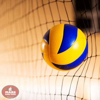 Villas in Shahapur - MARS Villas in Shahapur - MARS