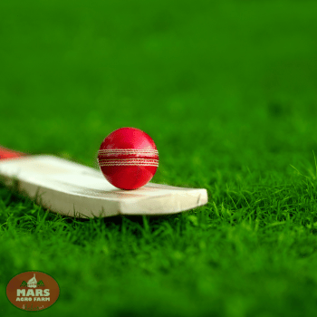 Villas with swimming pool at Shahapur Villas with swimming pool at Shahapur